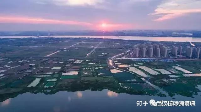 白沙洲最新消息，城市發(fā)展的脈搏與未來(lái)展望
