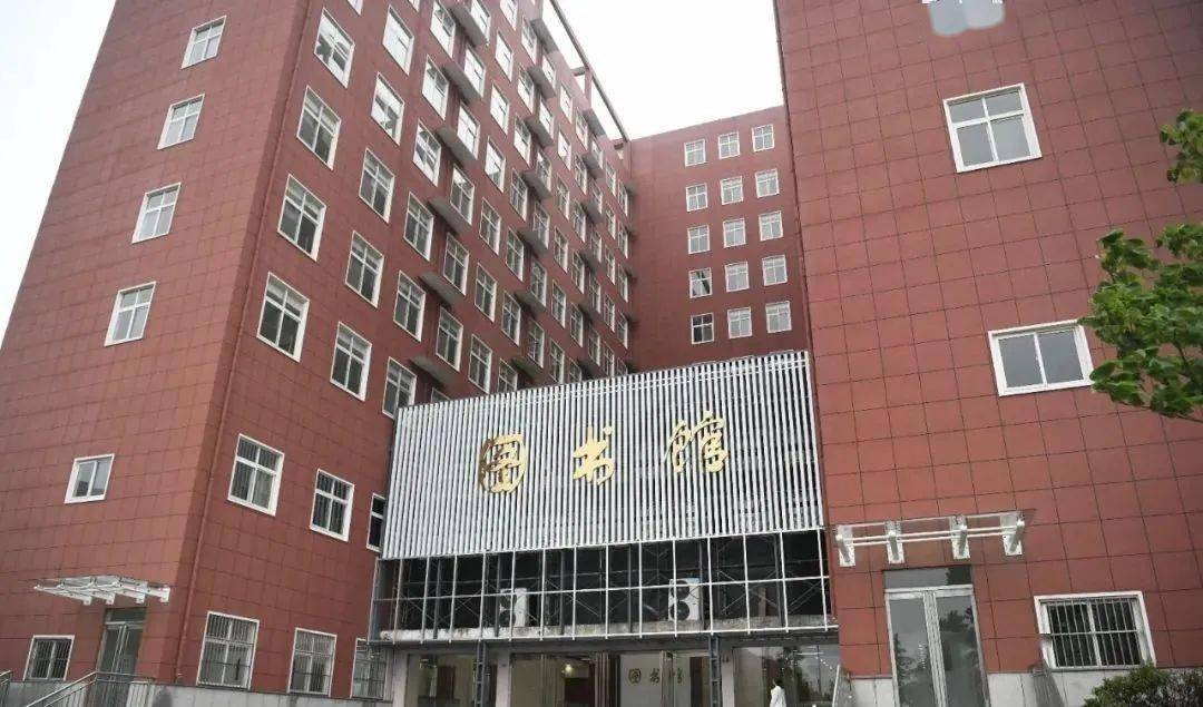 上海物流招聘最新消息，行業(yè)繁榮與職業(yè)發(fā)展的交匯點(diǎn)