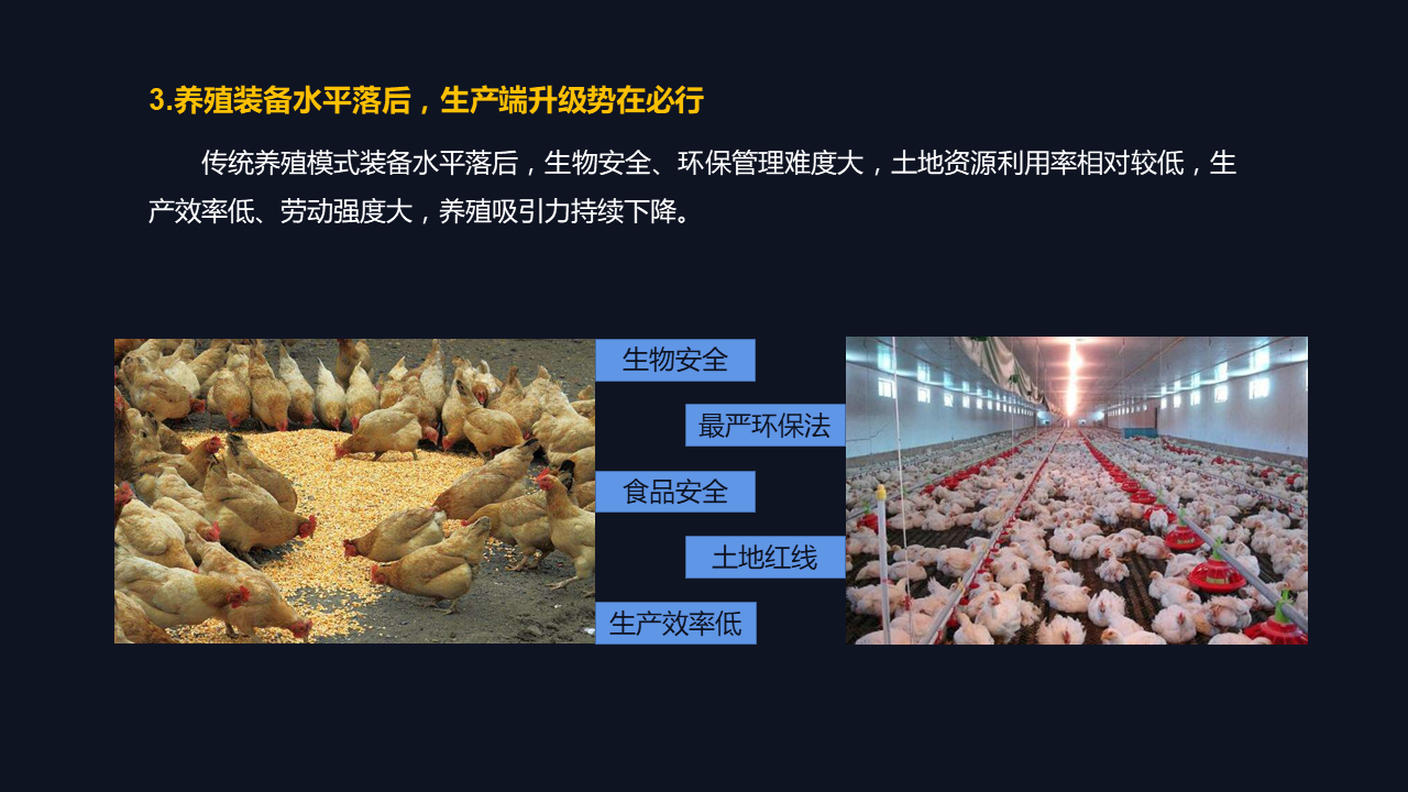 雞病專業(yè)網(wǎng)最新論壇，探討禽病防控技術(shù)與行業(yè)發(fā)展趨勢