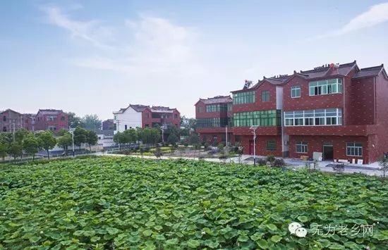 無為石澗最新消息，發(fā)展與變革的脈搏