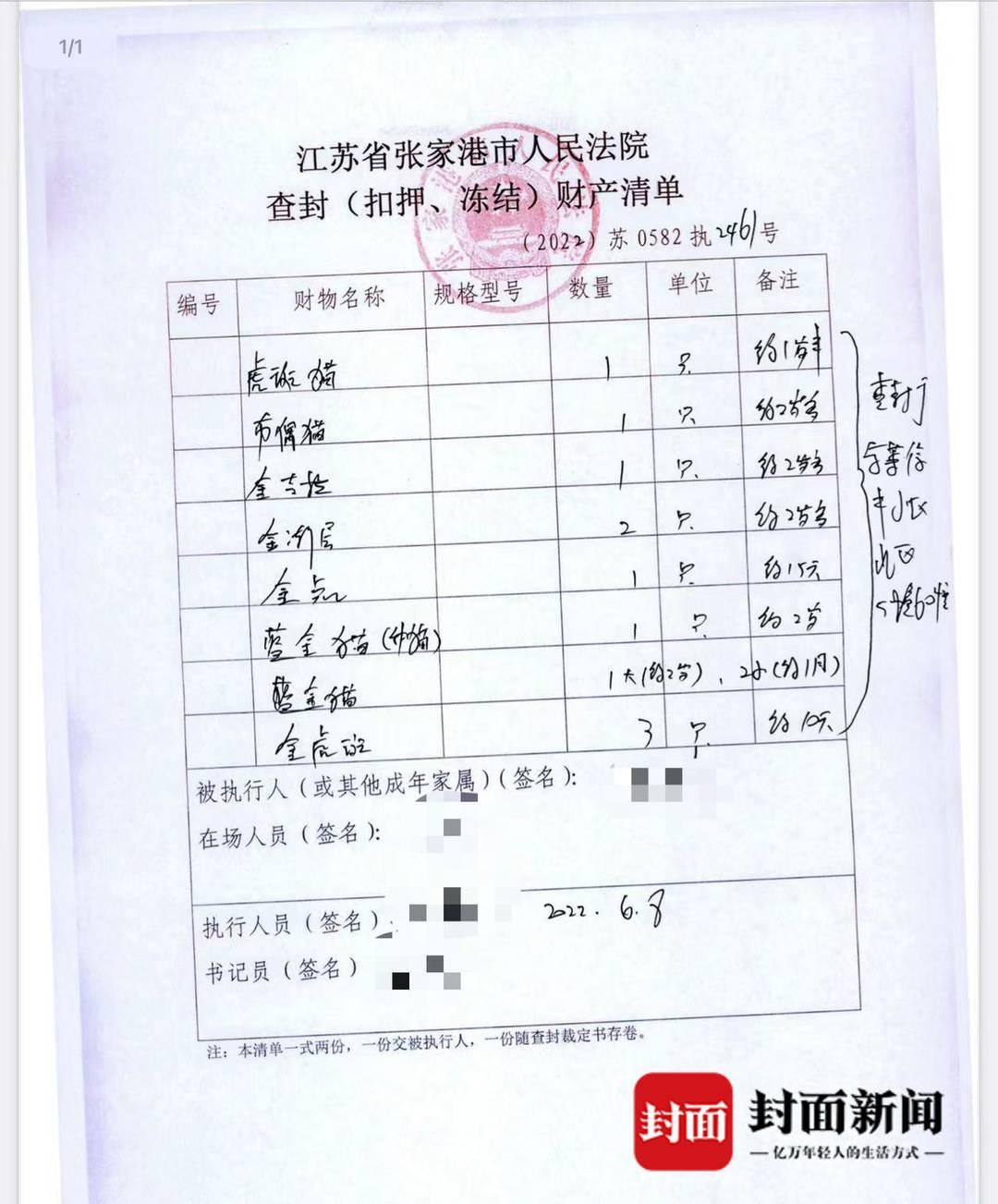 貓咪大戰(zhàn)爭(zhēng)最新破解版，游戲與法律的邊緣