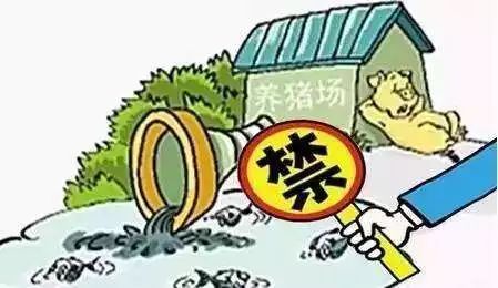 諸城禁養(yǎng)最新消息，全面解讀政策背景與影響