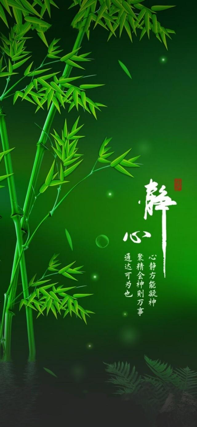 中國環(huán)保治理最新消息，邁向綠色發(fā)展的堅定步伐