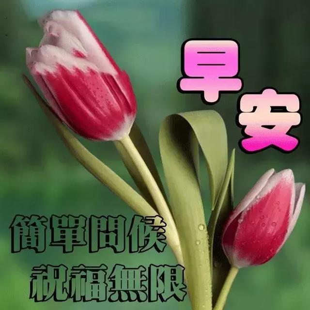 最新早上好表情圖，開啟美好一天的溫馨問(wèn)候