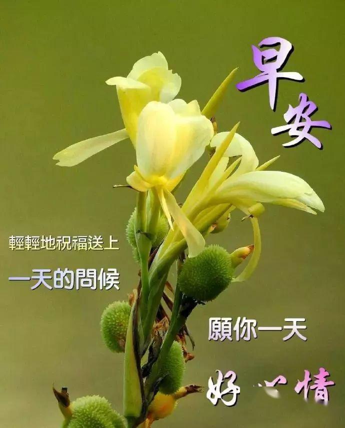 早安問(wèn)候語(yǔ)，迎接美好的新一天——2017年最新問(wèn)候語(yǔ)精選