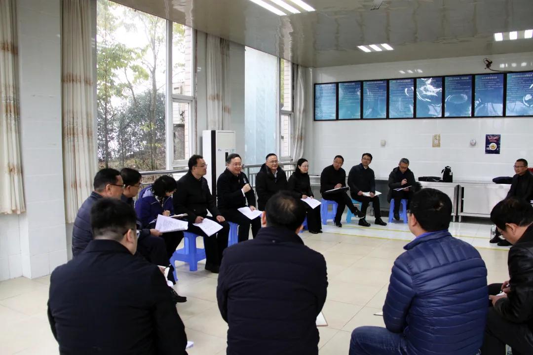 老鷹巖水電站最新動(dòng)態(tài)，進(jìn)展、影響與展望