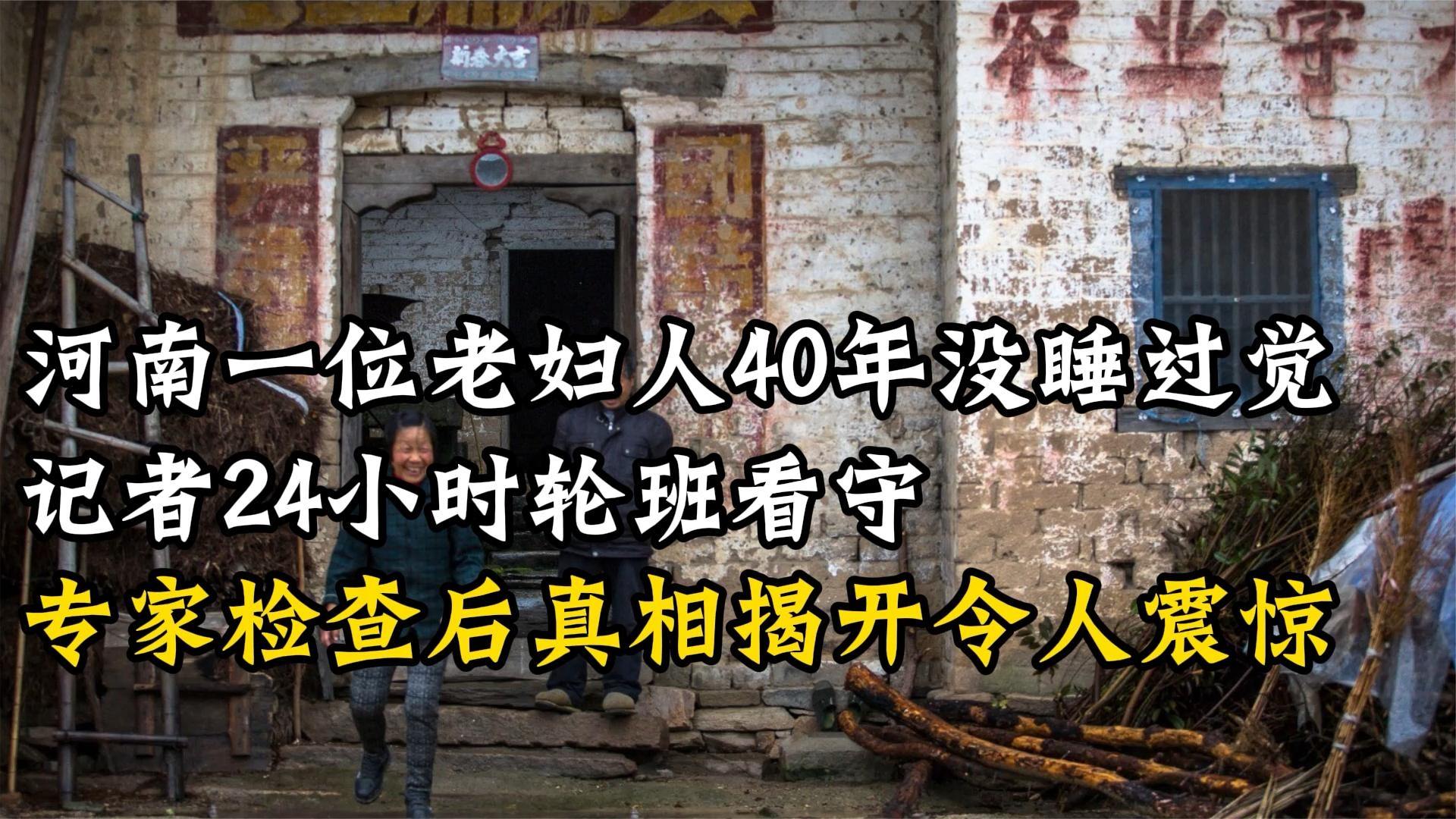 浙江省第一懸案最新進展，揭開歷史迷霧，探尋真相之路