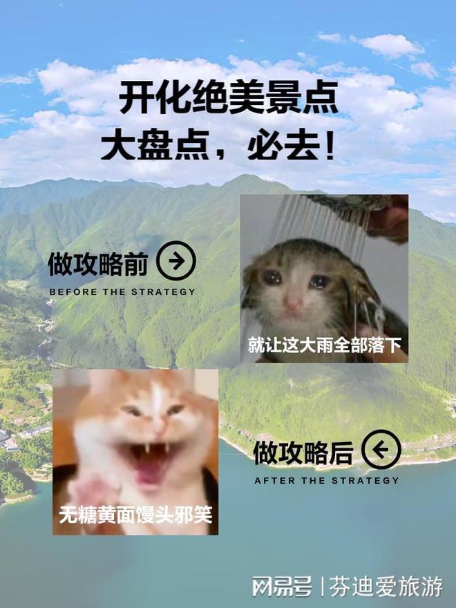 文德公園最新動(dòng)態(tài)，一場(chǎng)自然與人文的交響樂(lè)章