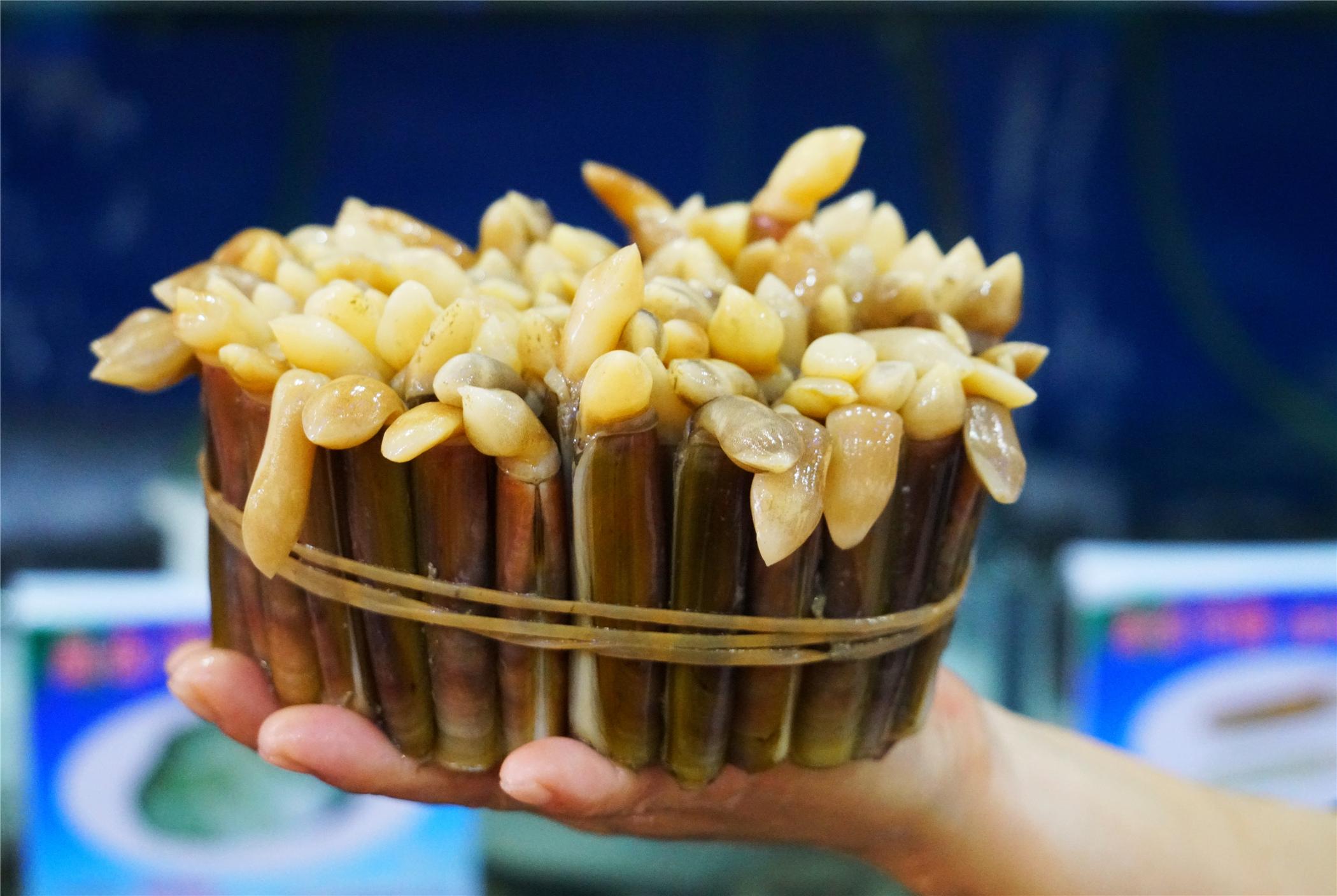 三亞最新景點(diǎn)探索，熱帶風(fēng)情的新面貌