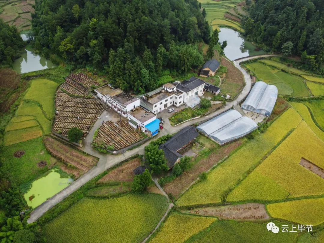 畢節(jié)田壩橋鎮(zhèn)最新規(guī)劃，打造未來田園新典范